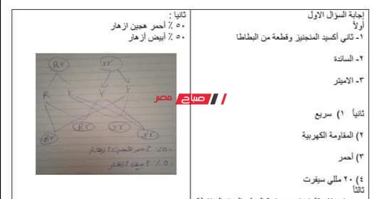 إجابة امتحان العلوم محافظة الإسكندرية الشهادة الاعدادية 2022 .. حل امتحان العلوم تالتة اعدادي الاسكندرية الترم الثاني 2022