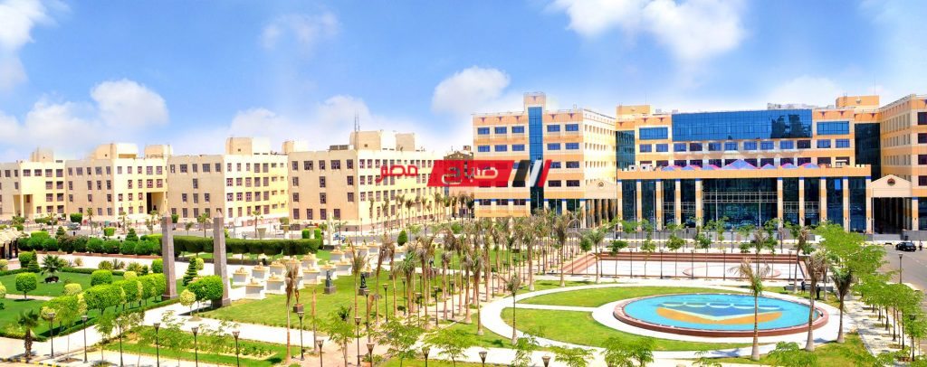 الجامعات الخاصة في مصر