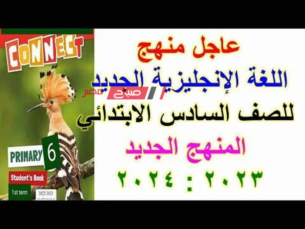 منهج الصف السادس الابتدائي الجديد 2024 إنجليزي