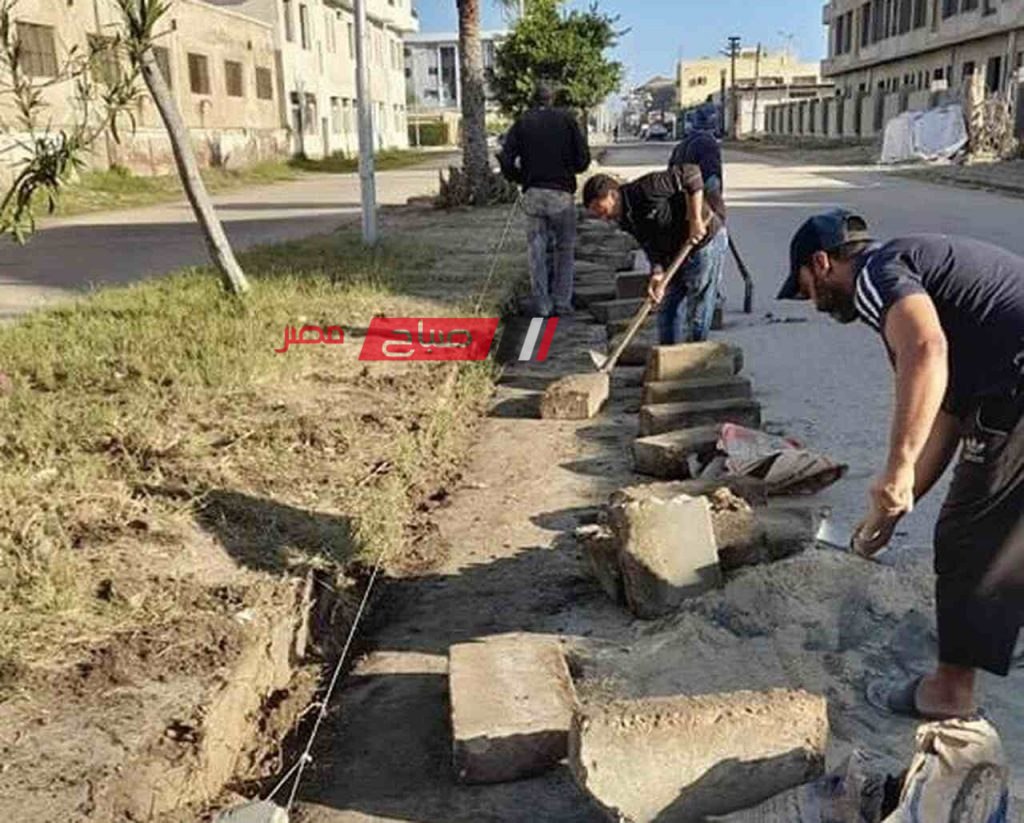 جهود مكثفة لزيادة الرقعة الخضراء في مدينة رأس البر من إنتاج مشروع البنك الأخضر