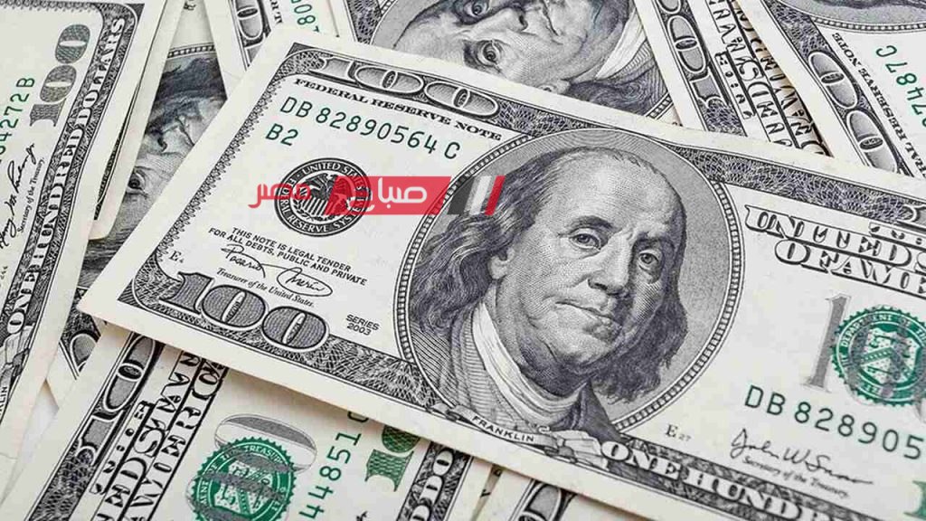 تعرف على احدث أسعار الدولار امام الجنيه السوداني اليوم الاثنين 8-7-2024