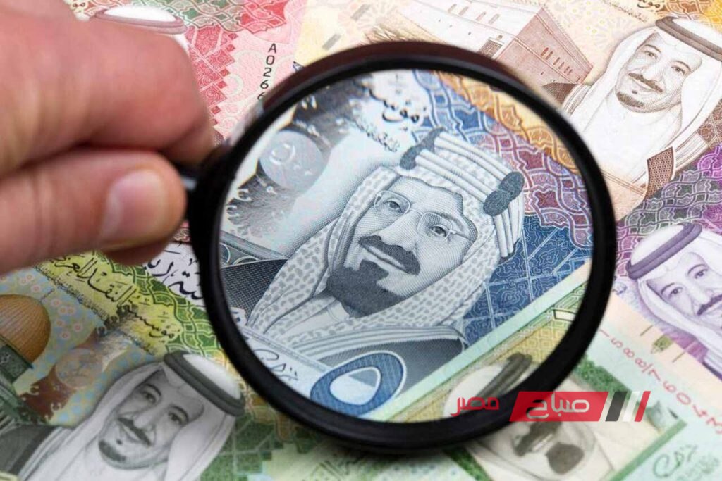 تعرف على تفاصيل أسعار الريال السعودي اليوم الثلاثاء 20-8-2024