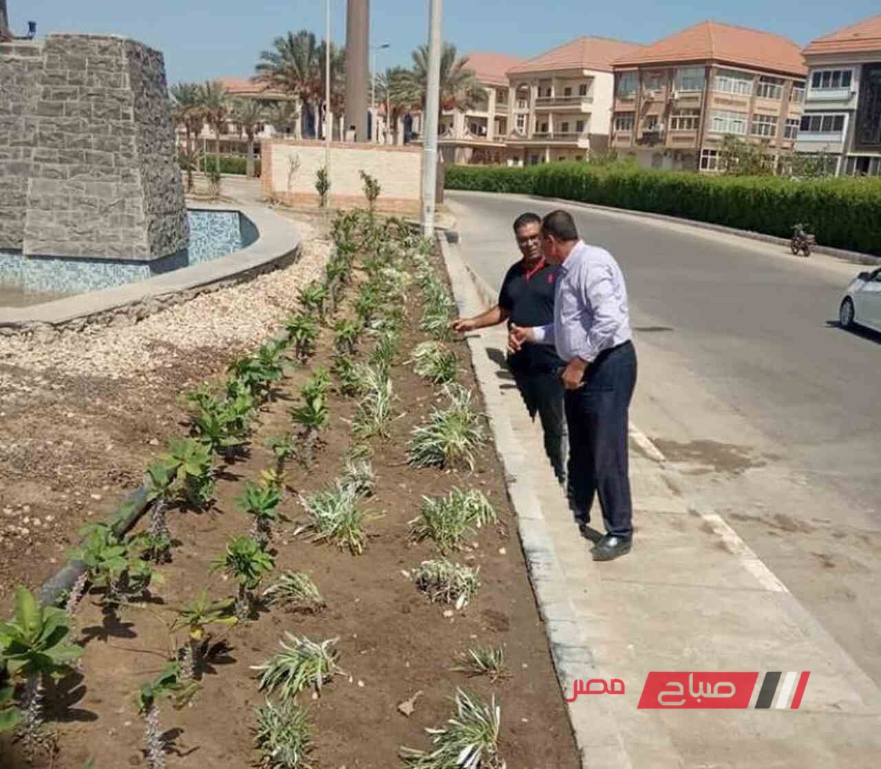 بالجهود الذاتية .. رفع كفاءة المساحات الخضراء بشارع النخيل برأس البر