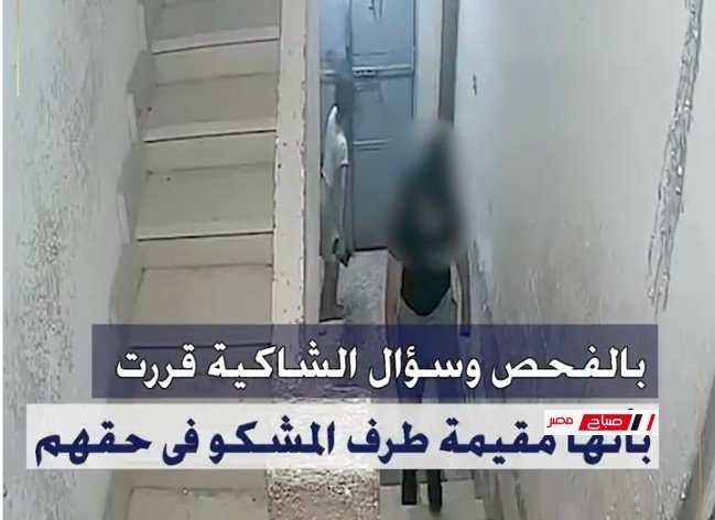 كشف تفاصيل تضرر سيدة من قيام زوجة ابنها بتهديدها في الإسكندرية