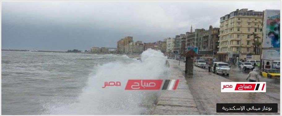 مواعيد نوات الإسكندرية للعام 2025-2026